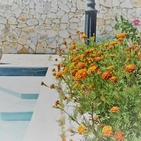 Estate Dafnopanagia Villa Magda Asprogerakata Bagian luar foto