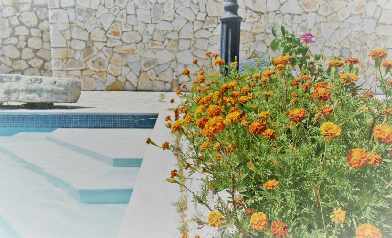 Estate Dafnopanagia Villa Magda Asprogerakata Bagian luar foto