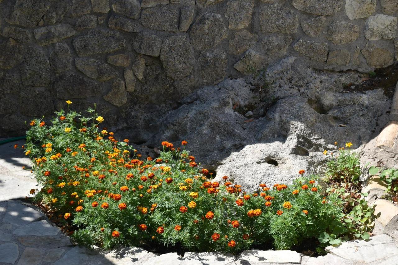 Estate Dafnopanagia Villa Magda Asprogerakata Bagian luar foto
